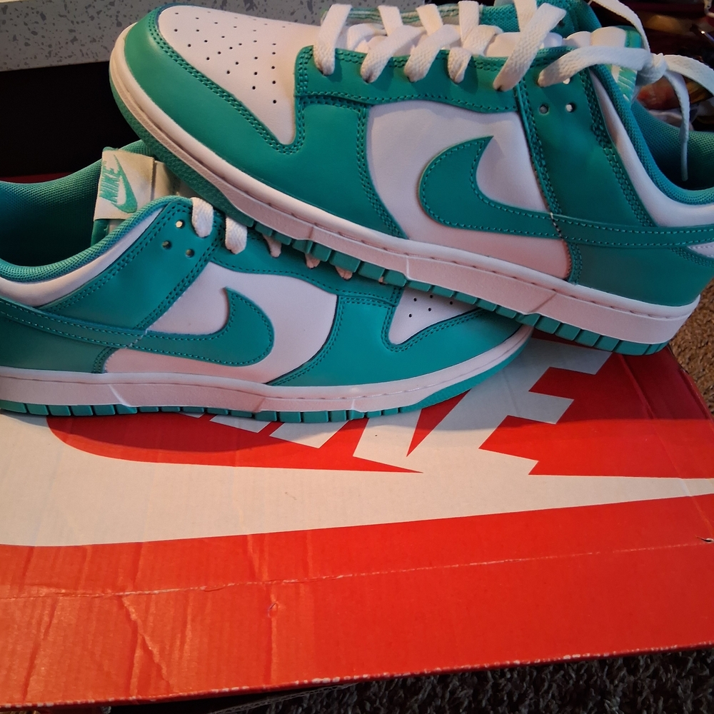 Nike Turquoise and White Low-Top Sneakers